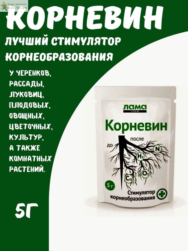 Размножение орхидеи черенками цветоноса. Ауксины.