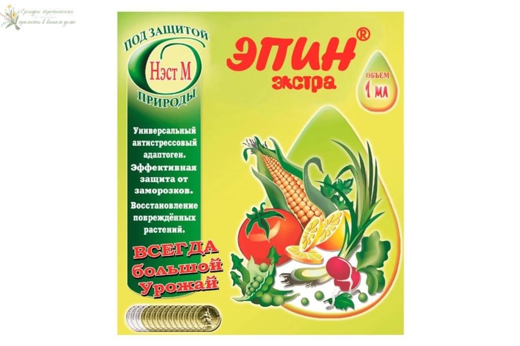 Размножение орхидеи черенками цветоноса. Эпин.