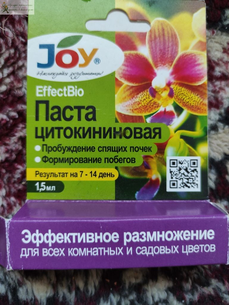Размножение орхидеи черенками цветоноса. Цитокинины.