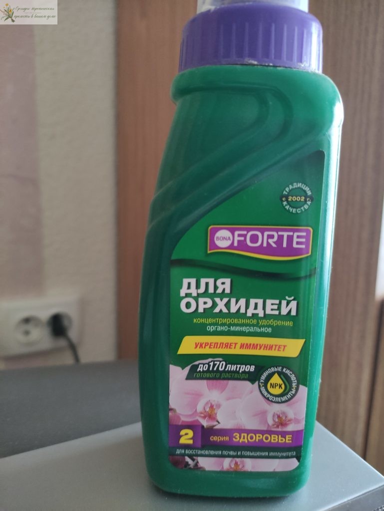 Как выращивать орхидеи в домашних условиях жидкое удобрение