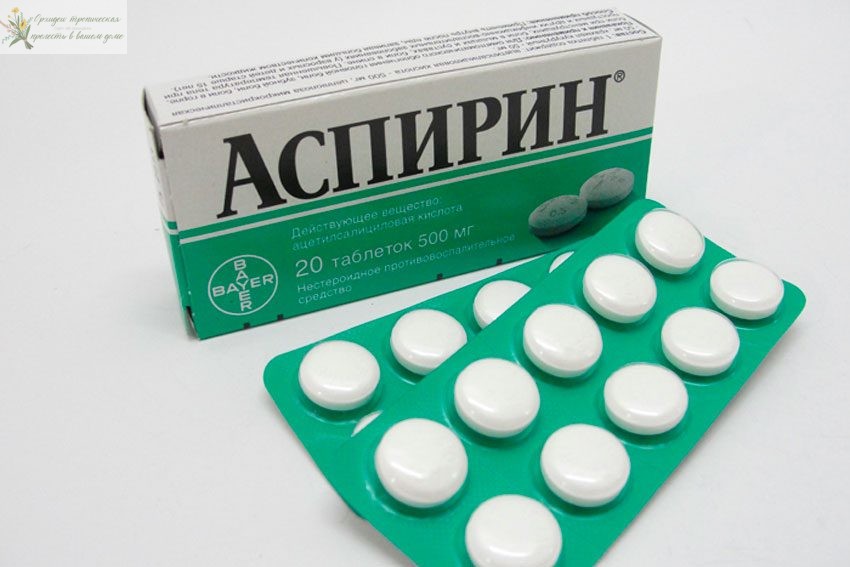 Народные средства для удобрения орхидей. Аспирин