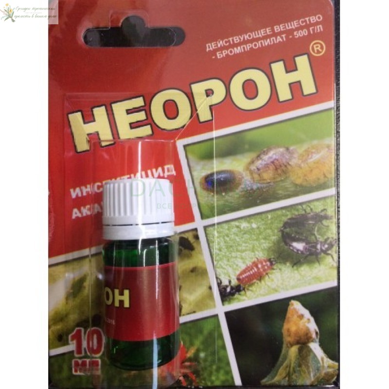 Народные средства для борьбы с вредителями орхидей фаленопсис: неорон