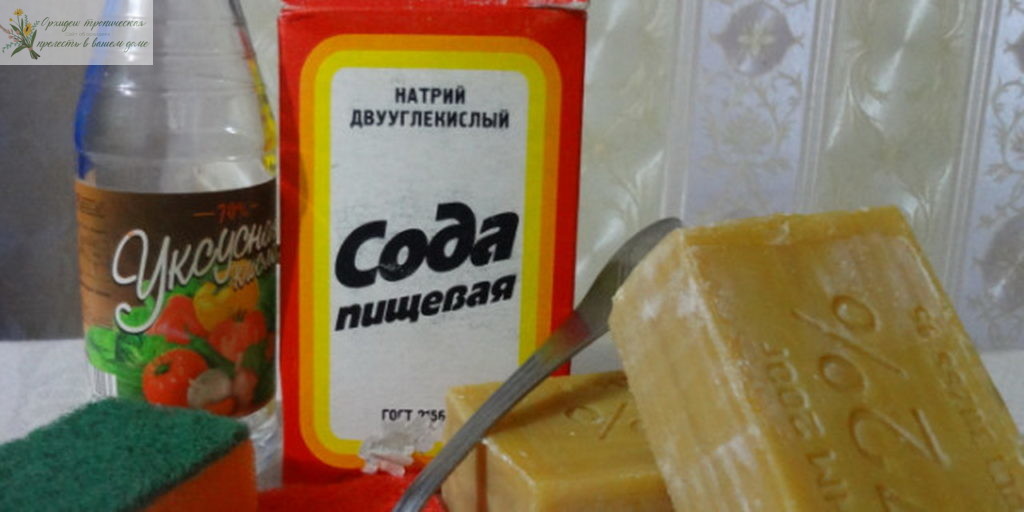 Народные средства для борьбы с вредителями орхидей фаленопсис: мыло уксус сода