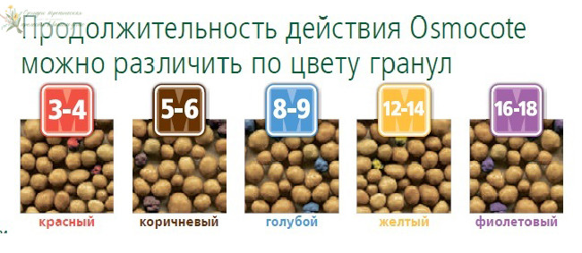 Осмокот удобрение разных цветов